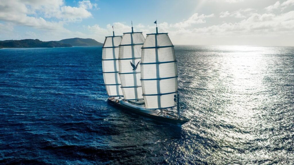 Maltese Falcon running