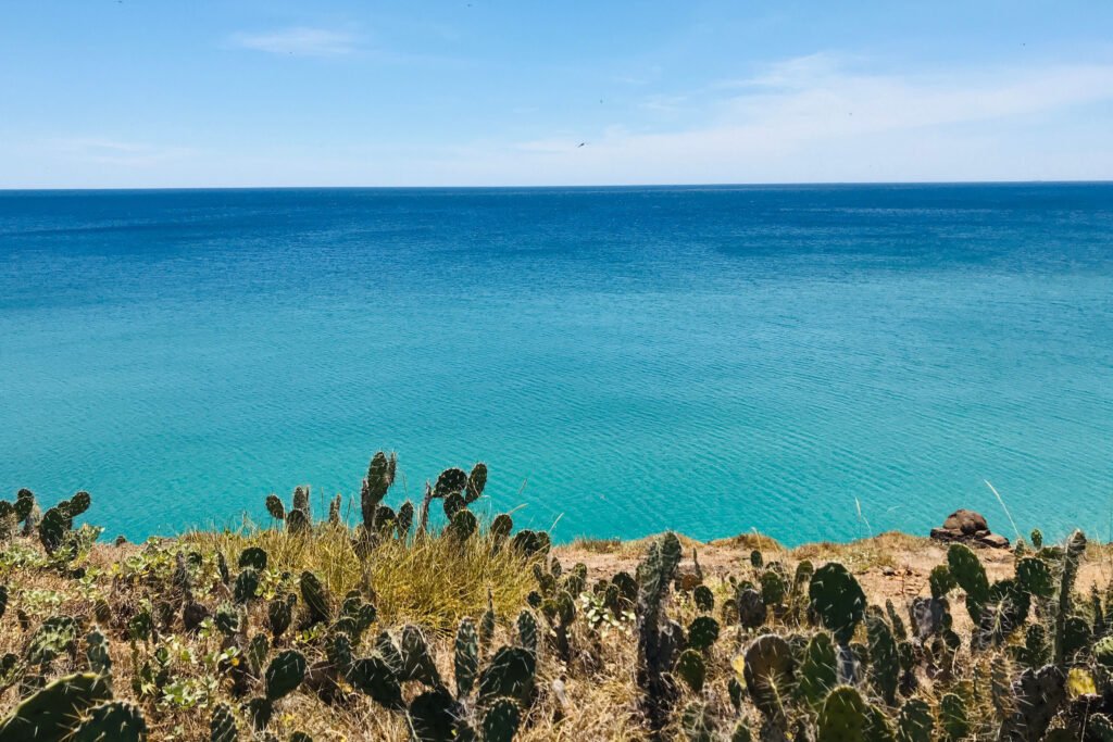 mexico yacht for charter