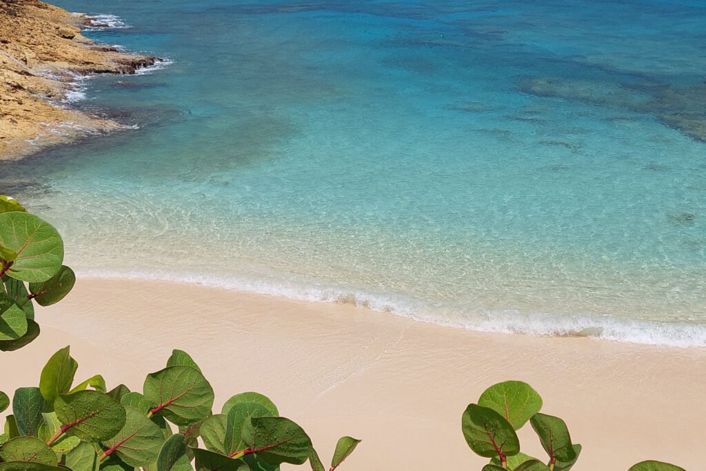 abacos yacht for charter