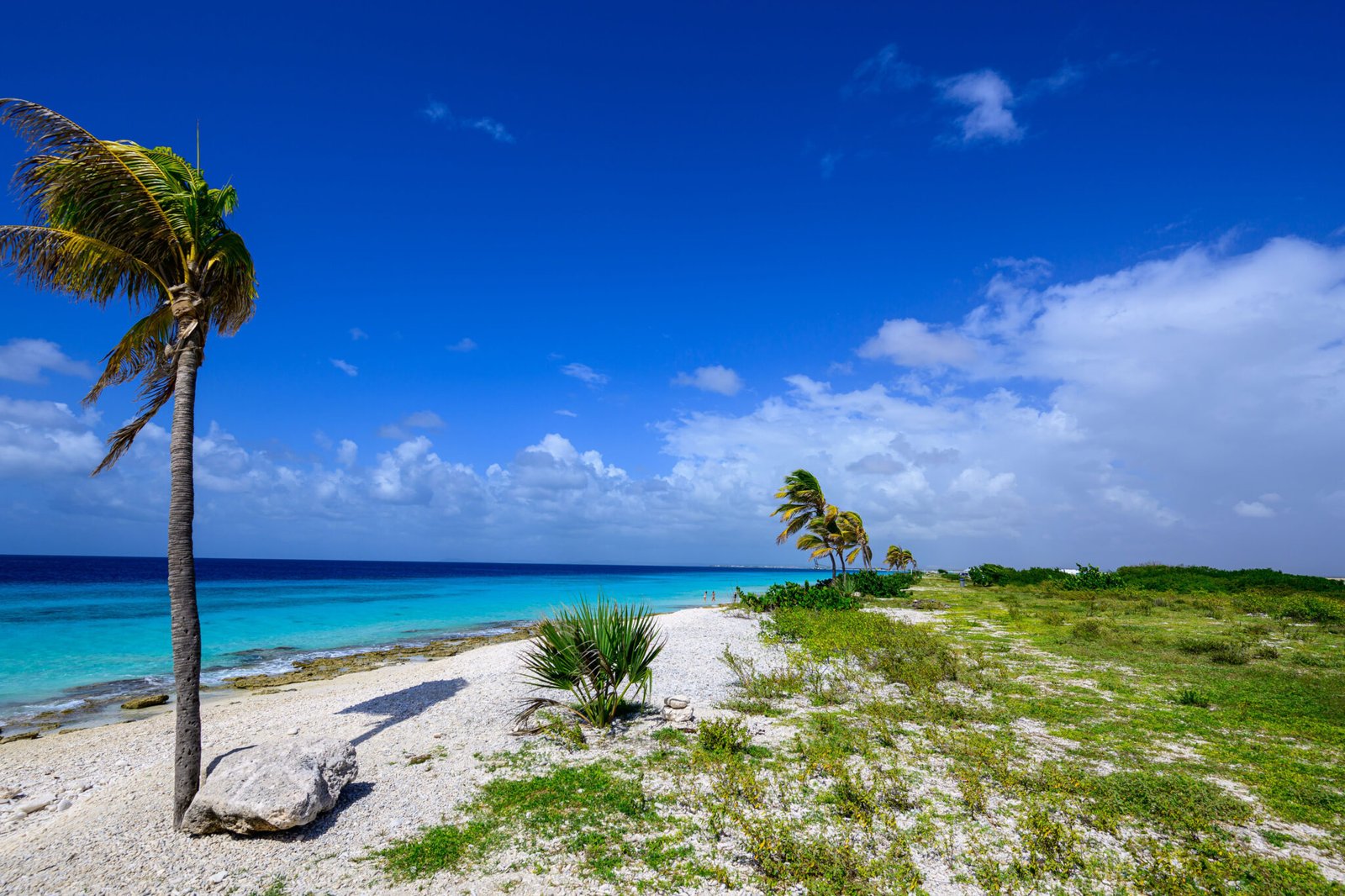 bonaire yacht for charter