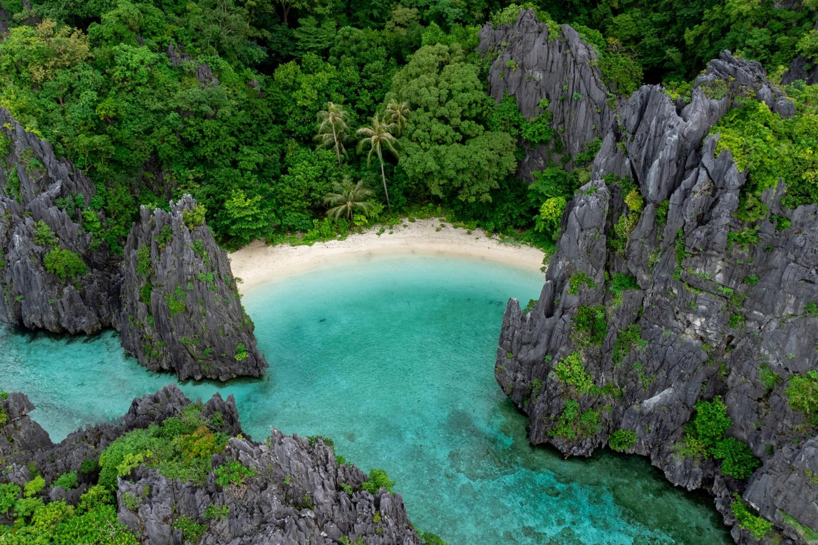 el nido yacht for charter