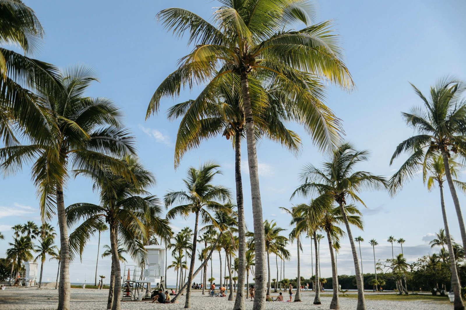 florida yacht for charter