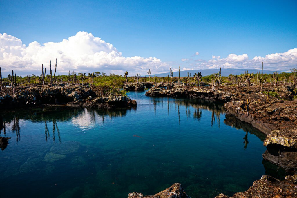 galapagos yacht for charter