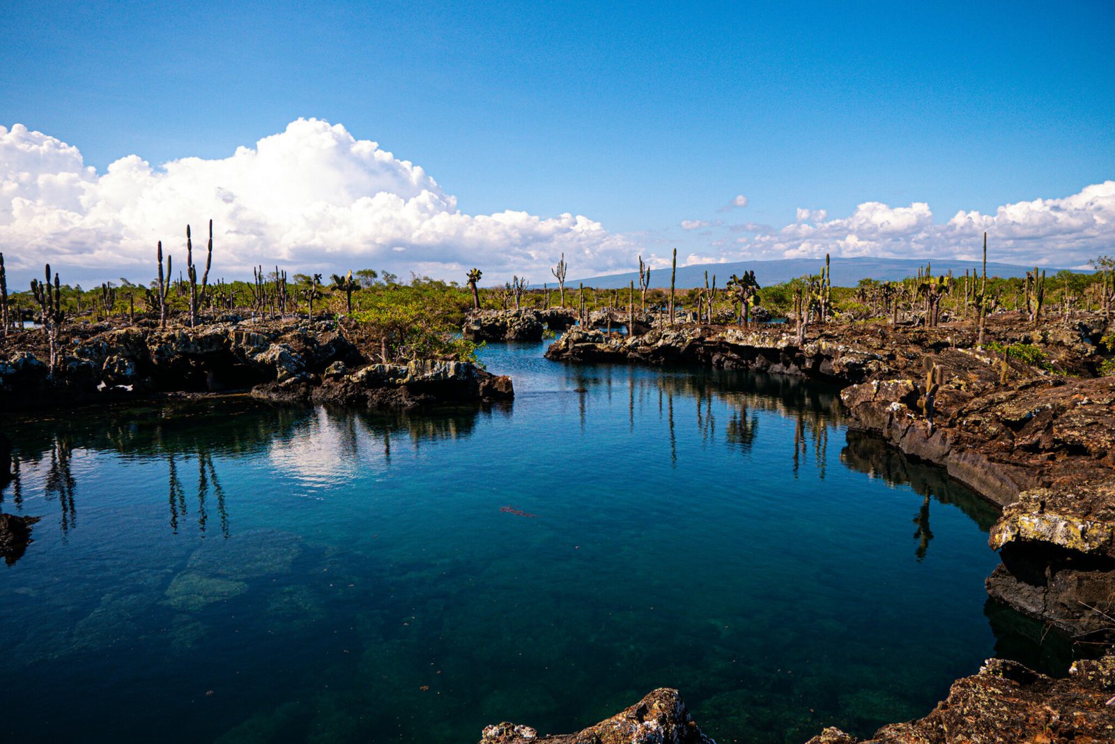 galapagos yacht for charter