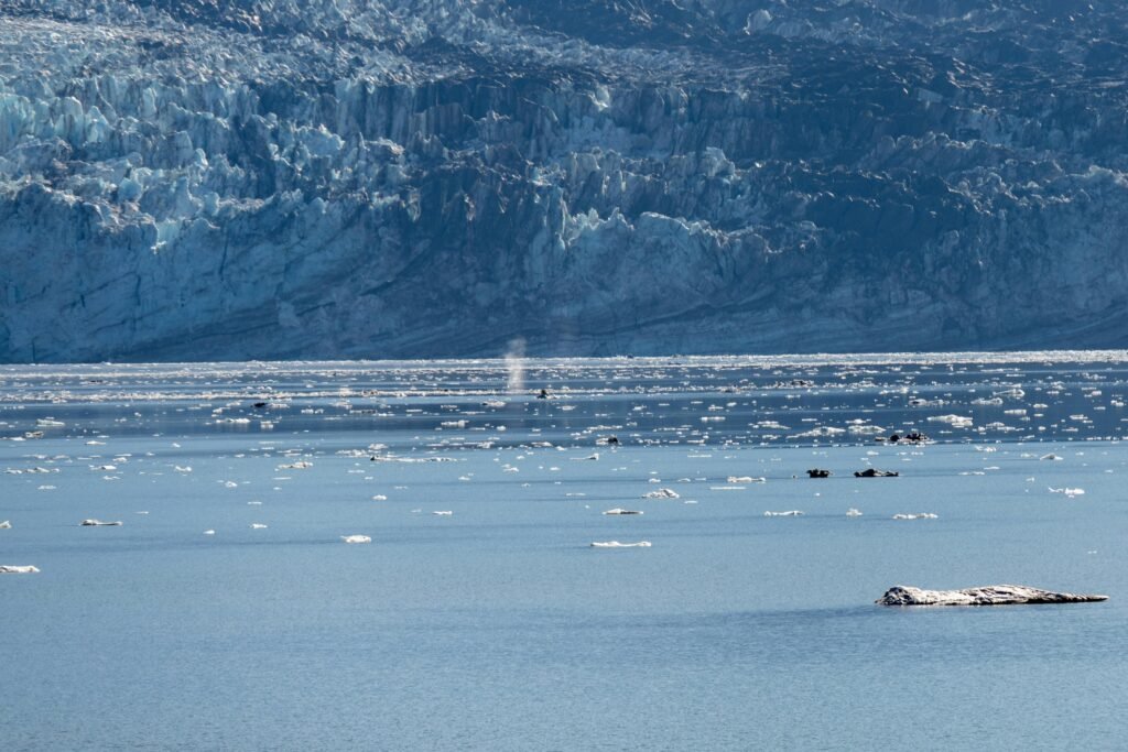 glacier bay yacht for charter