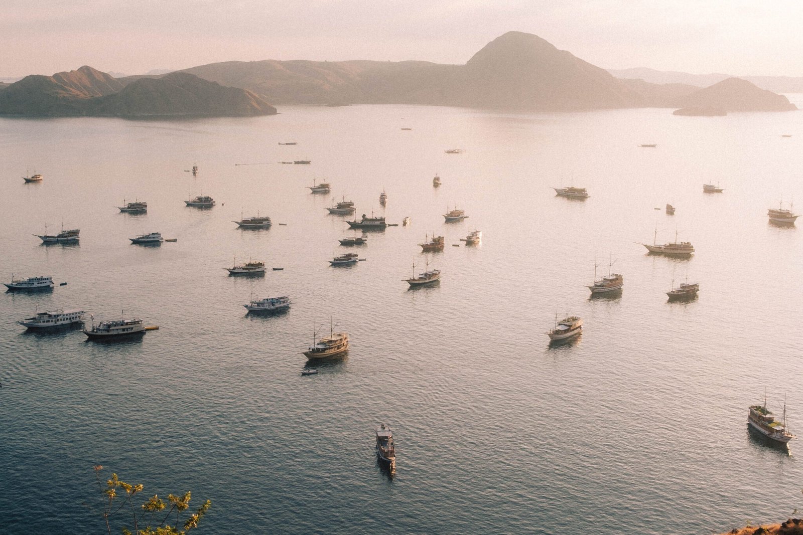 komodo yacht for charter