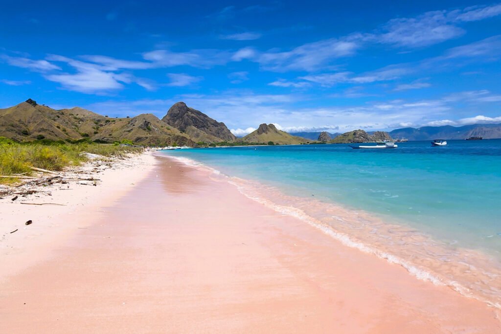 komodo yacht for charter