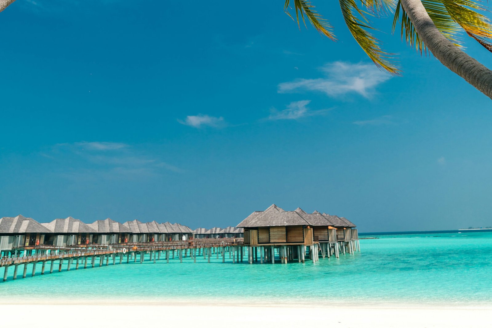 maldives yacht for charter