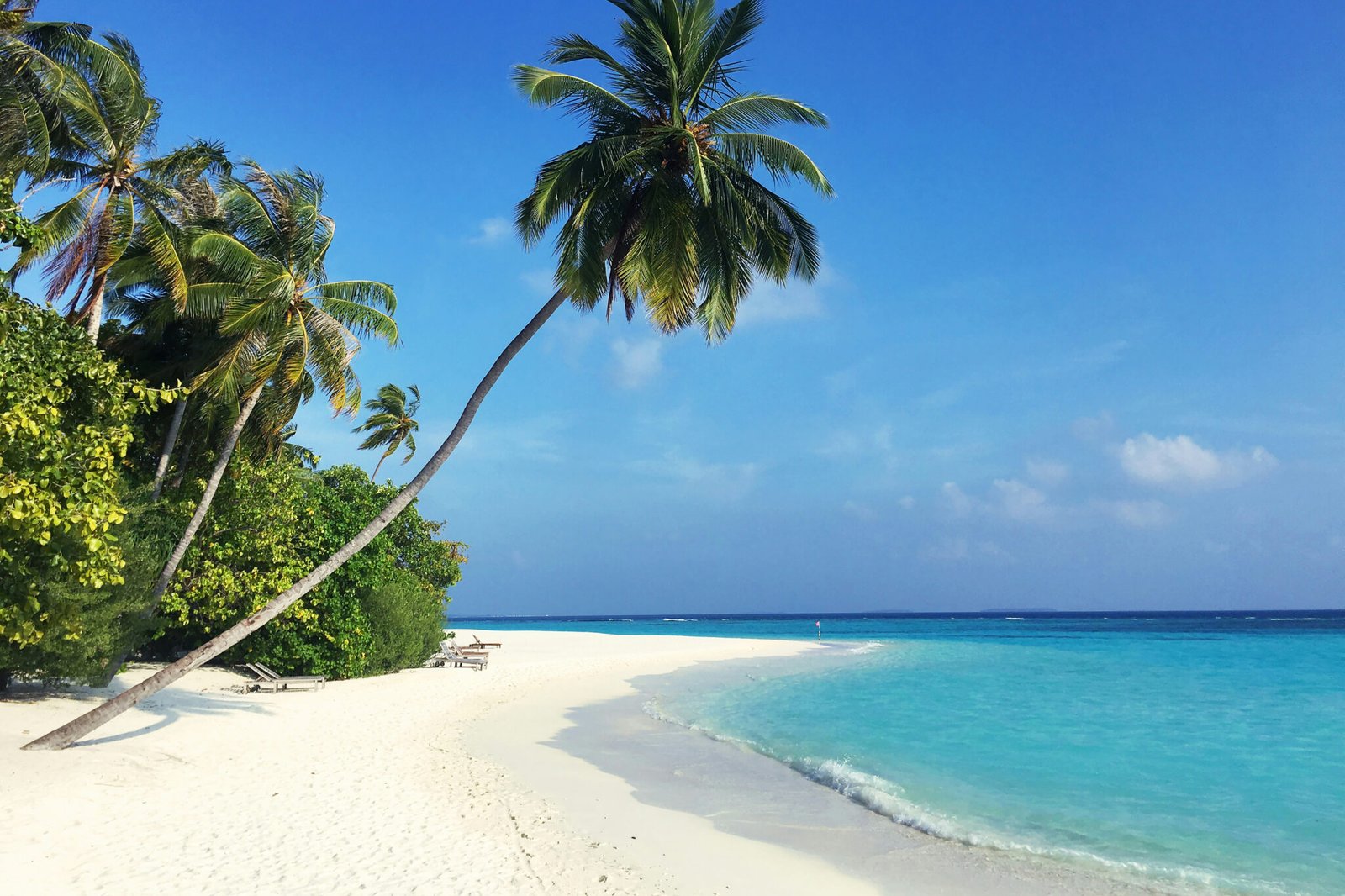 maldives yacht for charter