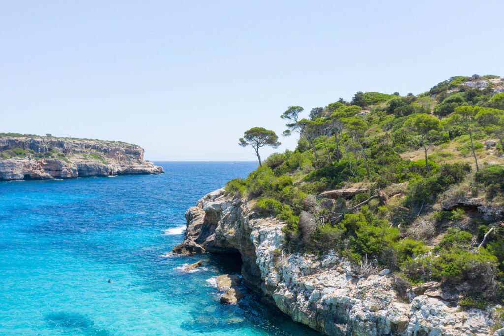 mallorca yacht for charter