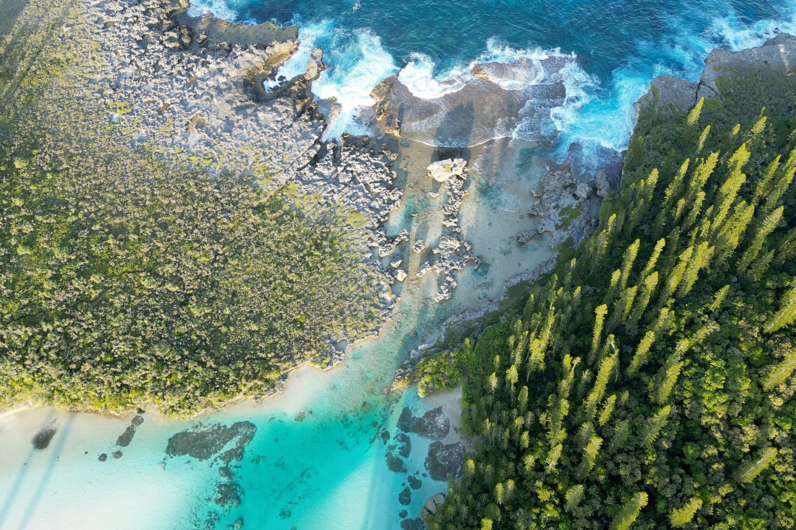 new caledonia yacht for charter