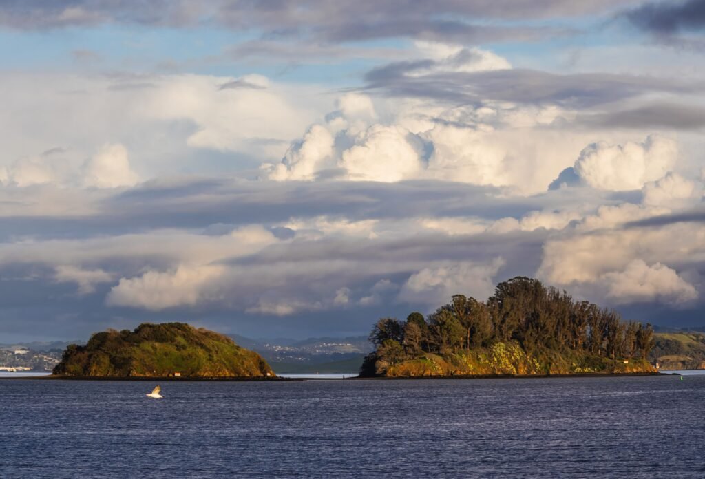pallisser island yacht for charter