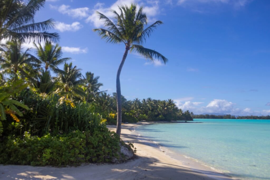 palliser island yacht for charter