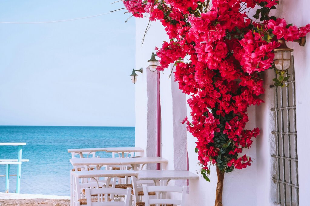 paros yacht for charter