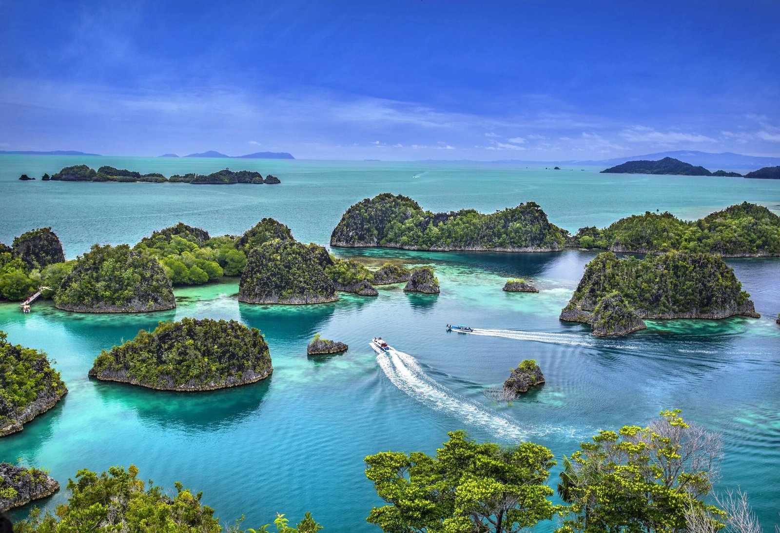 Raja Ampat yacht for charter