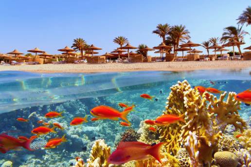 UAE yacht for charter