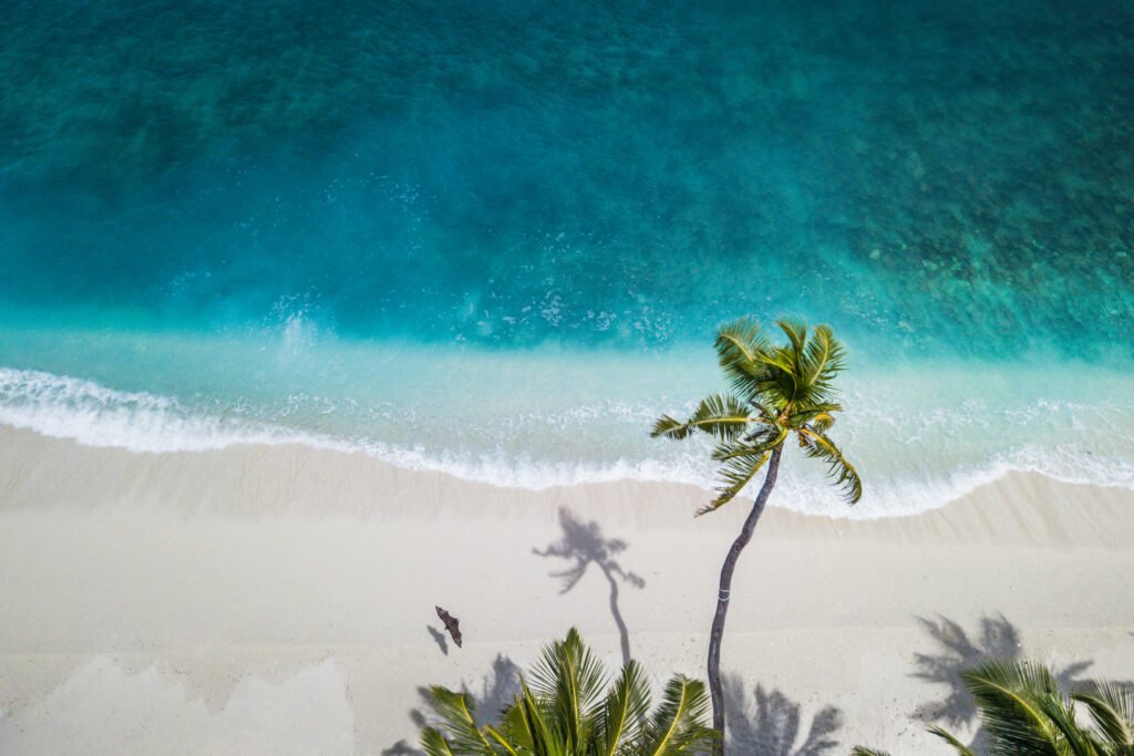 seychelles yacht for charter