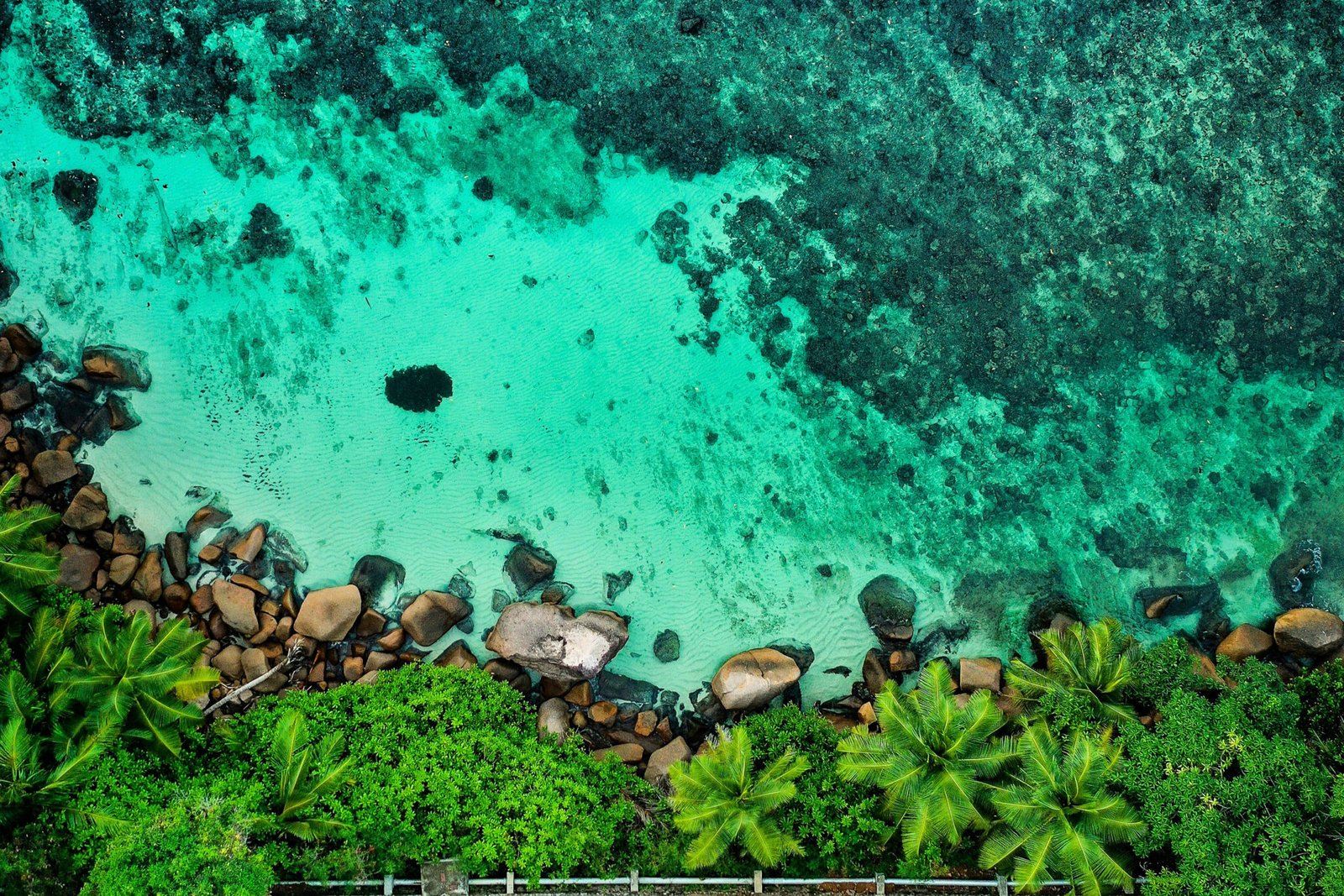 seychelles yacht for charter