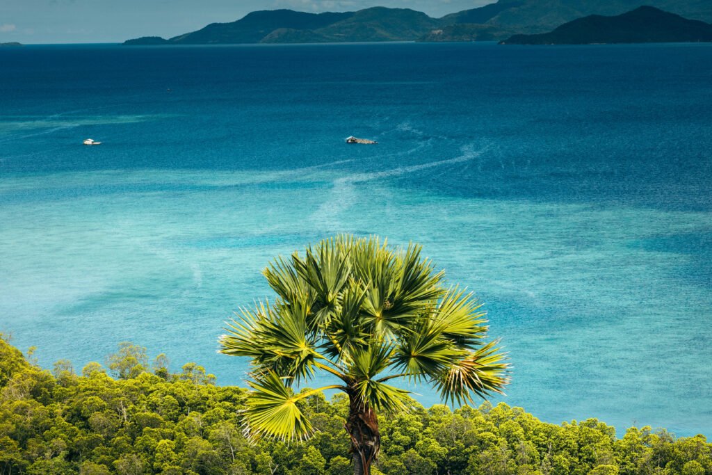 vanuatu yacht for charter