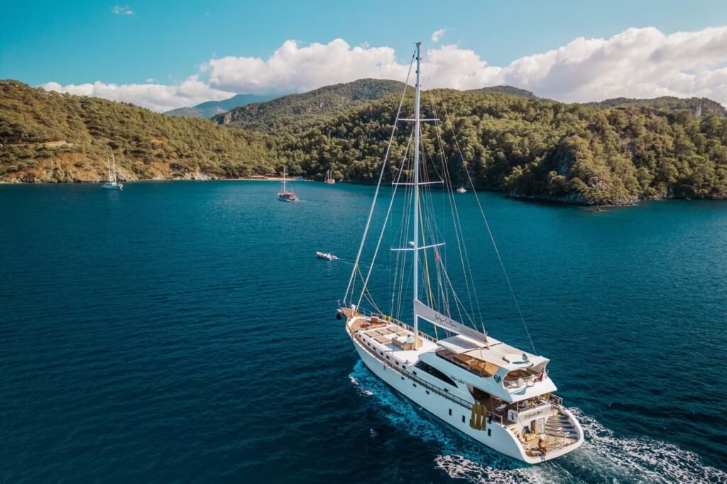 BELGIN SULTAN aerial