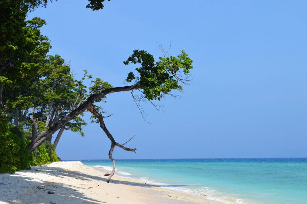 Andaman Islands yacht charter cruising