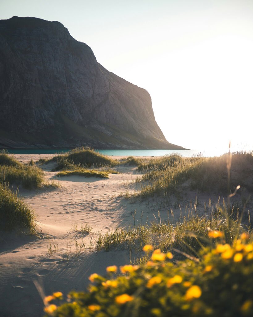 Lofoten Islands yacht charter cruising