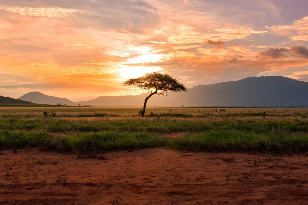 South Africa charter destination