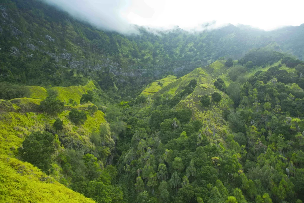 Marquesas yacht charter cruising