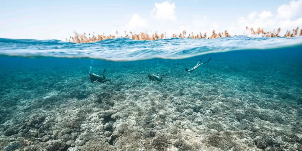 Tuamotus yacht charter cruising