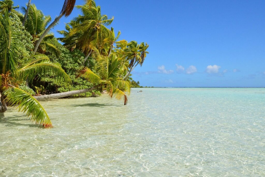 Tuamotus yacht charter cruising